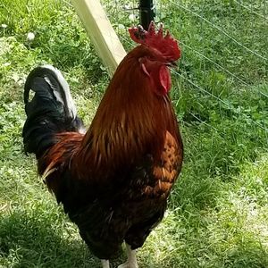 Meet your Posher, Kristy